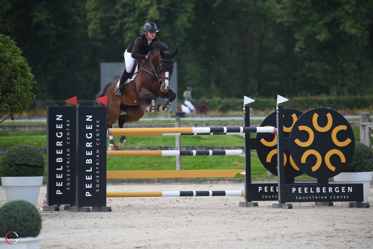 Emmy paardensport